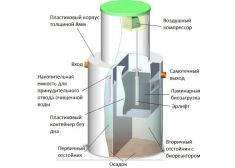 Панда Нала 1.5